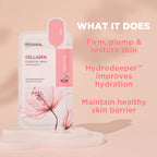 Mediheal Official Best Korean Sheet Mask - Collagen Essential Face Mask 10 Sheets Lifting and Firming For All Skin Types Value Sets